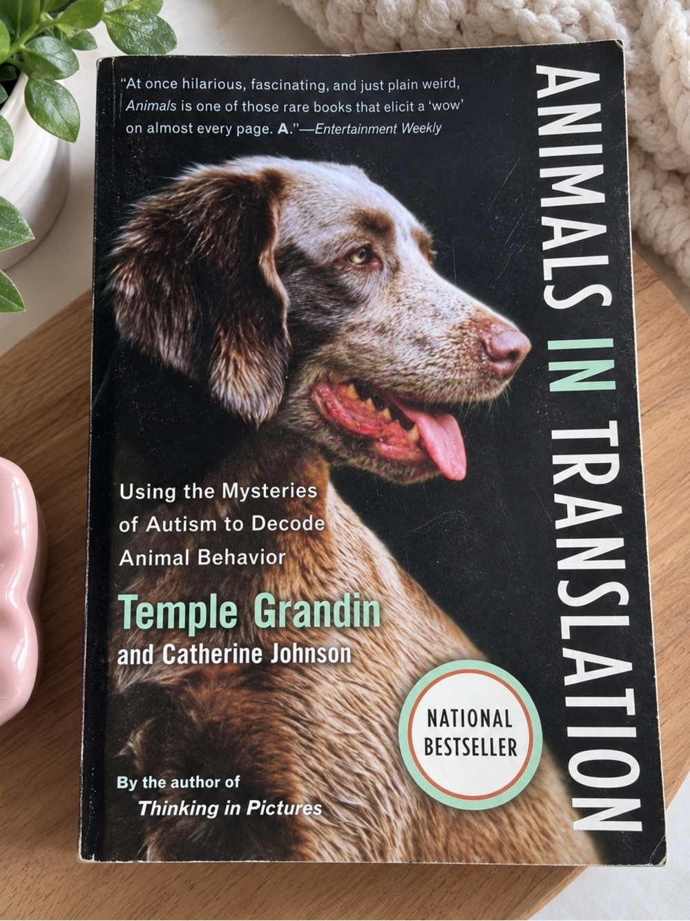 Animals in Translation by Temple Grandin & Catherine Johnson – Paperback